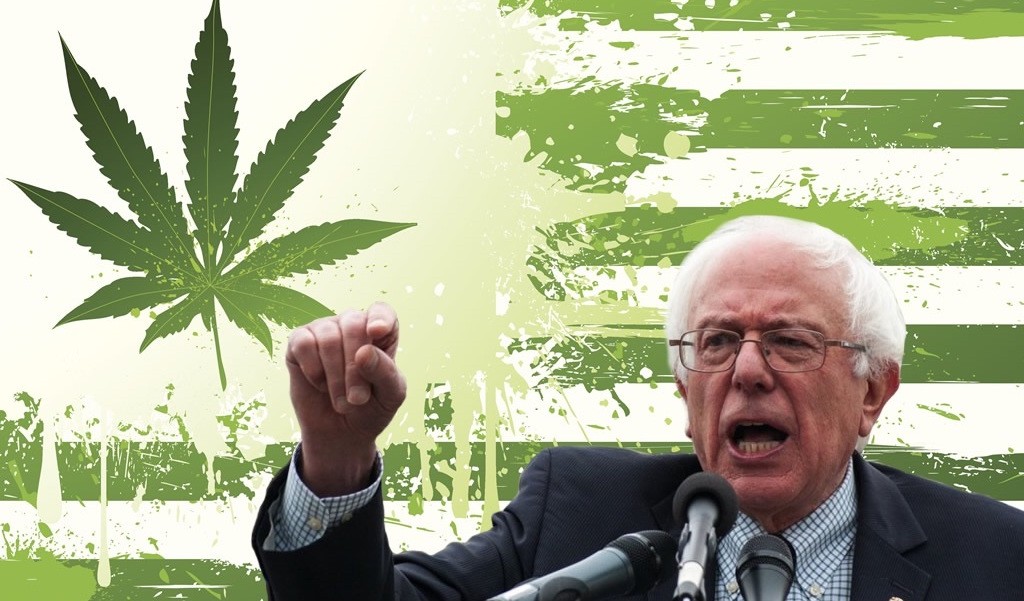 Bernie’s Cannabis Plan